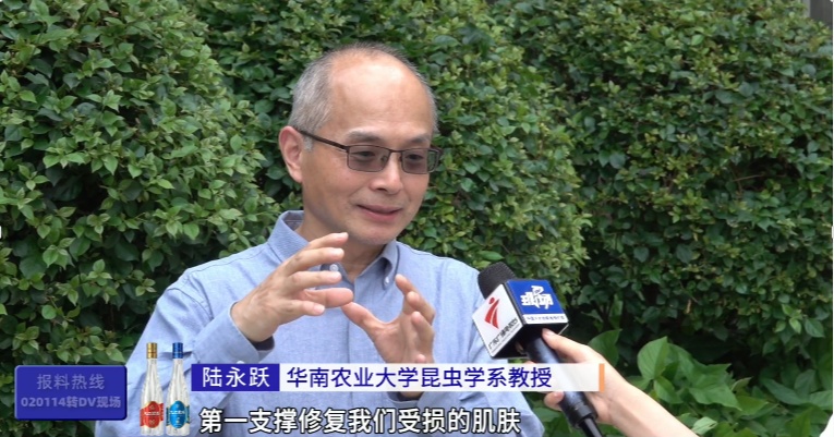 你脸上敷的、嘴里吃的，或含广东大蟑螂！