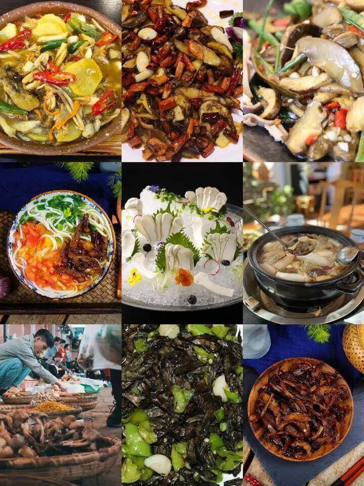 关于野生菌的安全食用提示