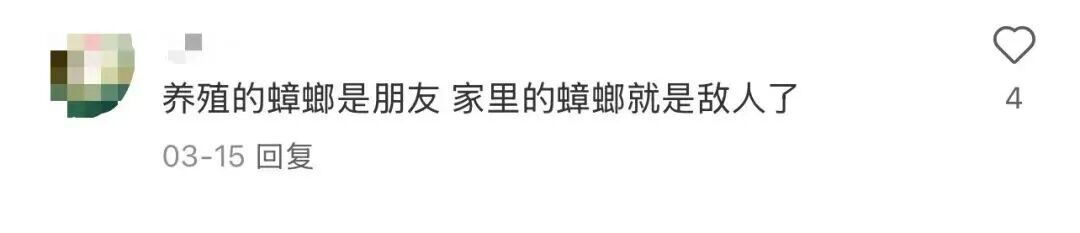 你脸上敷的、嘴里吃的，或含广东大蟑螂！