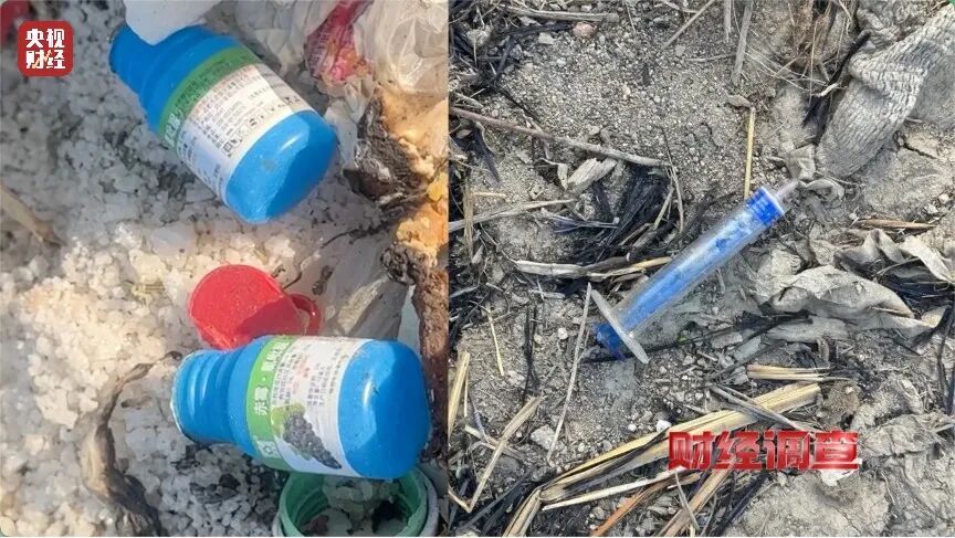 河道发黑发臭！各类垃圾、医疗废弃物露天堆放，多地农村垃圾乱象触目惊心→