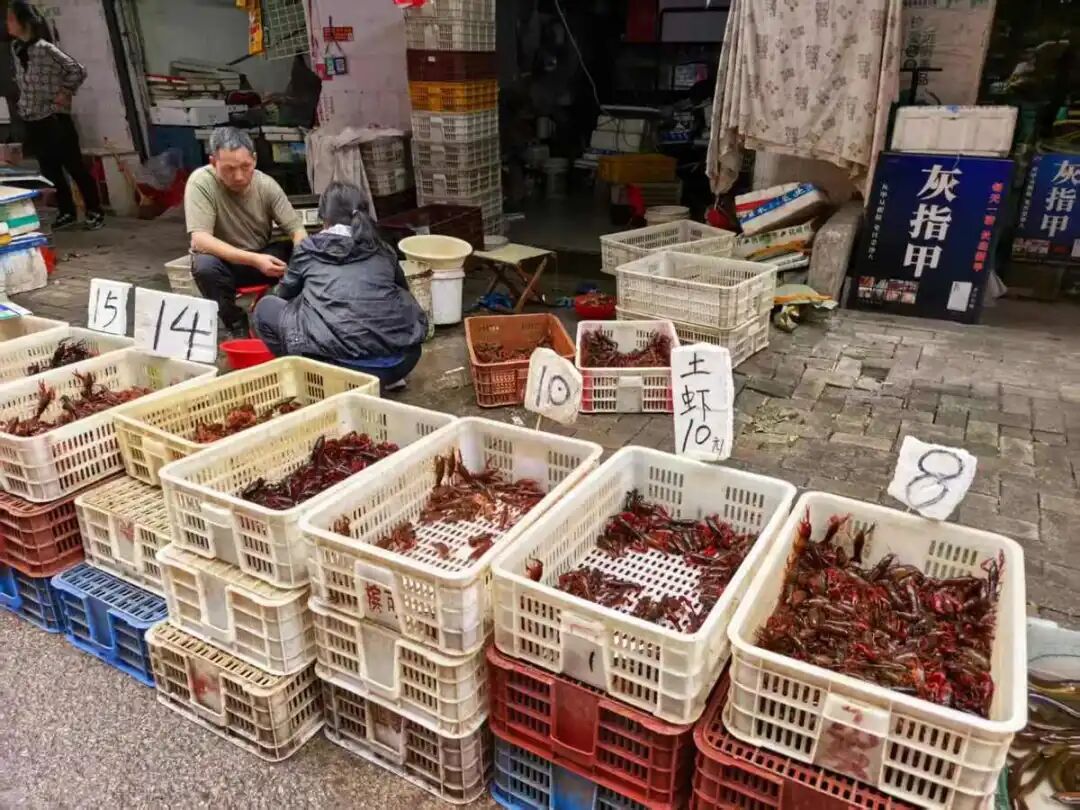 8元一斤，武汉小龙虾大降价，比白豆角还便宜，“目前价格还未触底”