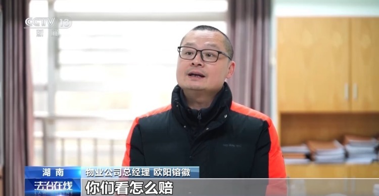 法治在线丨车辆违规停放消防通道 被掉落瓷砖砸坏 损失谁来担 法治在线丨车辆违规停放消防通道 被掉落瓷砖砸坏 损失谁来担