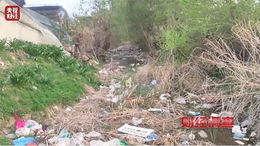 河道发黑发臭！各类垃圾、医疗废弃物露天堆放，多地农村垃圾乱象触目惊心→
