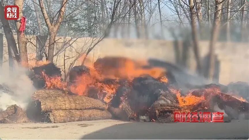 河道发黑发臭！各类垃圾、医疗废弃物露天堆放，多地农村垃圾乱象触目惊心→