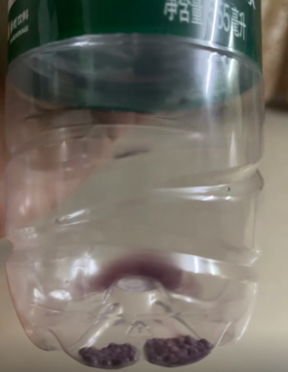 网友称喝完矿泉水发现瓶底虫卵状异物,怡宝回应:生产过程记录正常,市监:正搜集证据 网友称喝完矿泉水发现瓶底虫卵状异物,怡宝回应:生产过程记录正常,市监:正搜集证据