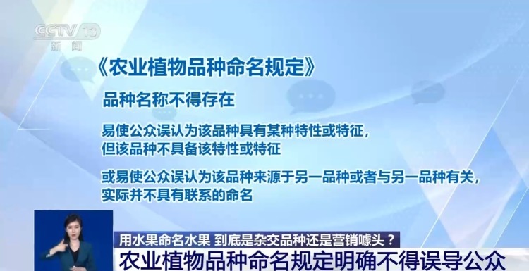 芒果凤梨没芒果、草莓芭乐没草莓！揭露网红水果命名背后的消费陷阱