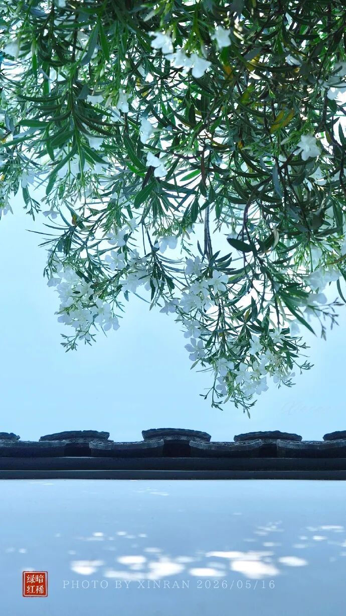 暴雨警报！江苏这些地区有大到暴雨！大风科普了解一下→