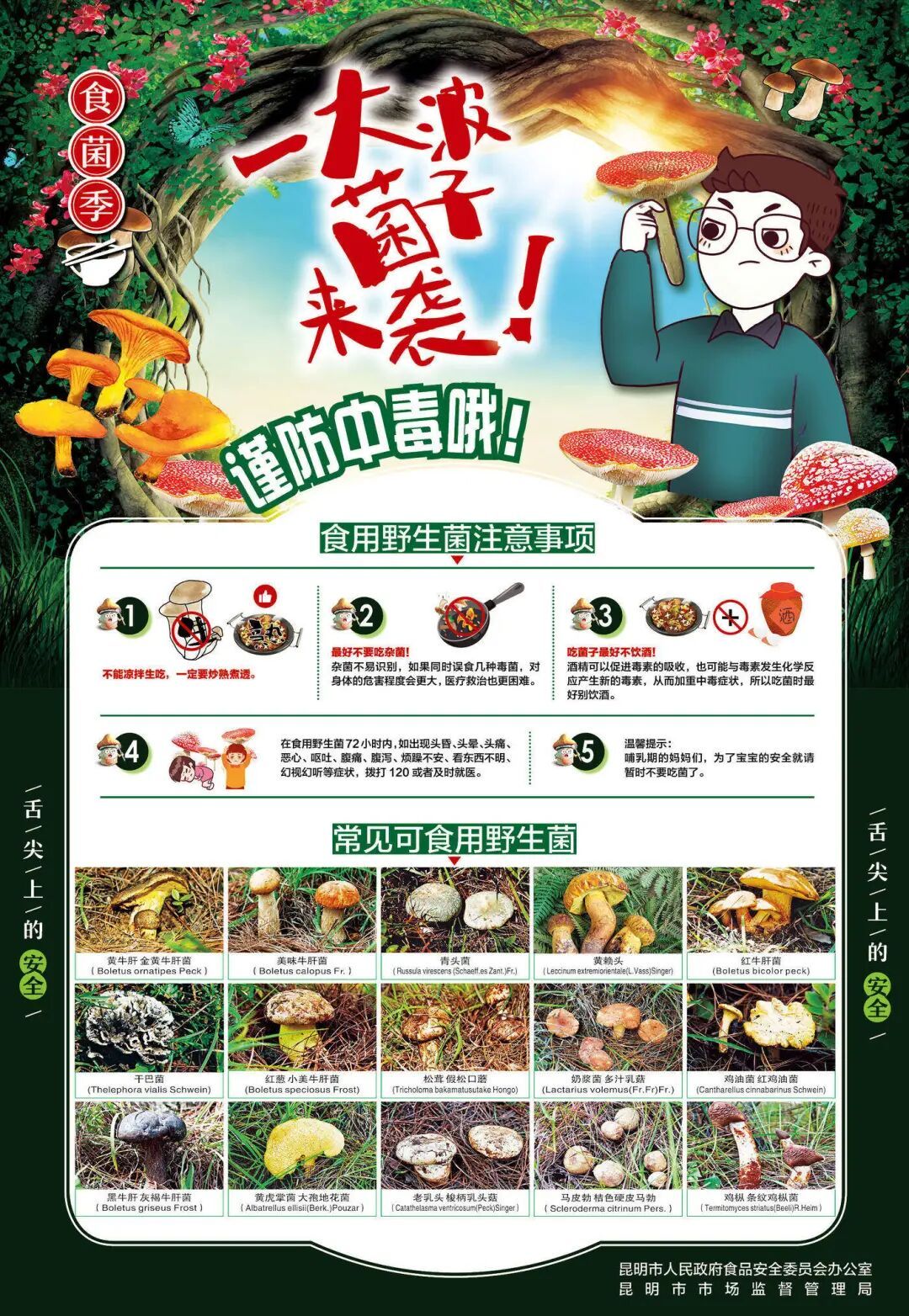 关于野生菌的安全食用提示