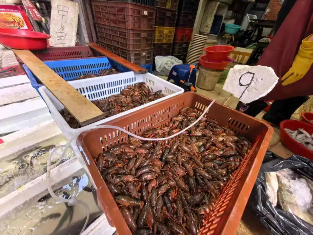 8元一斤，武汉小龙虾大降价，比白豆角还便宜，“目前价格还未触底”
