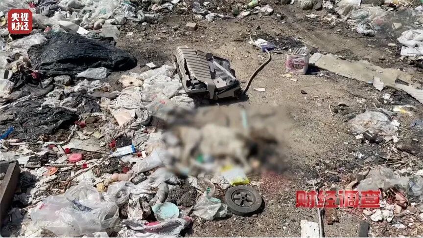 河道发黑发臭！各类垃圾、医疗废弃物露天堆放，多地农村垃圾乱象触目惊心→