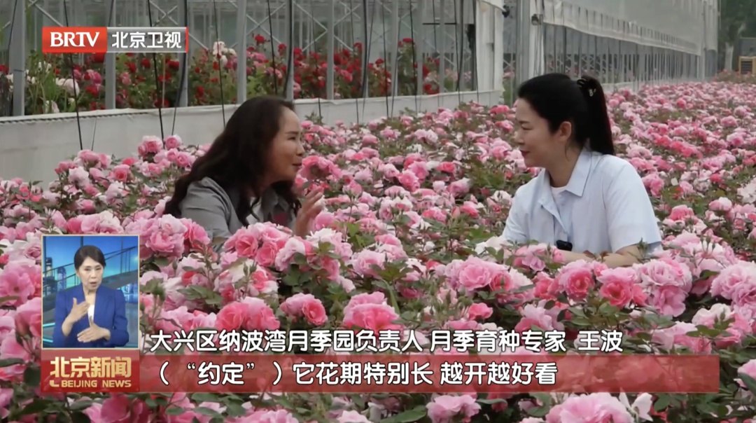 北京把最长情的告白，写进市民每天经过的路上