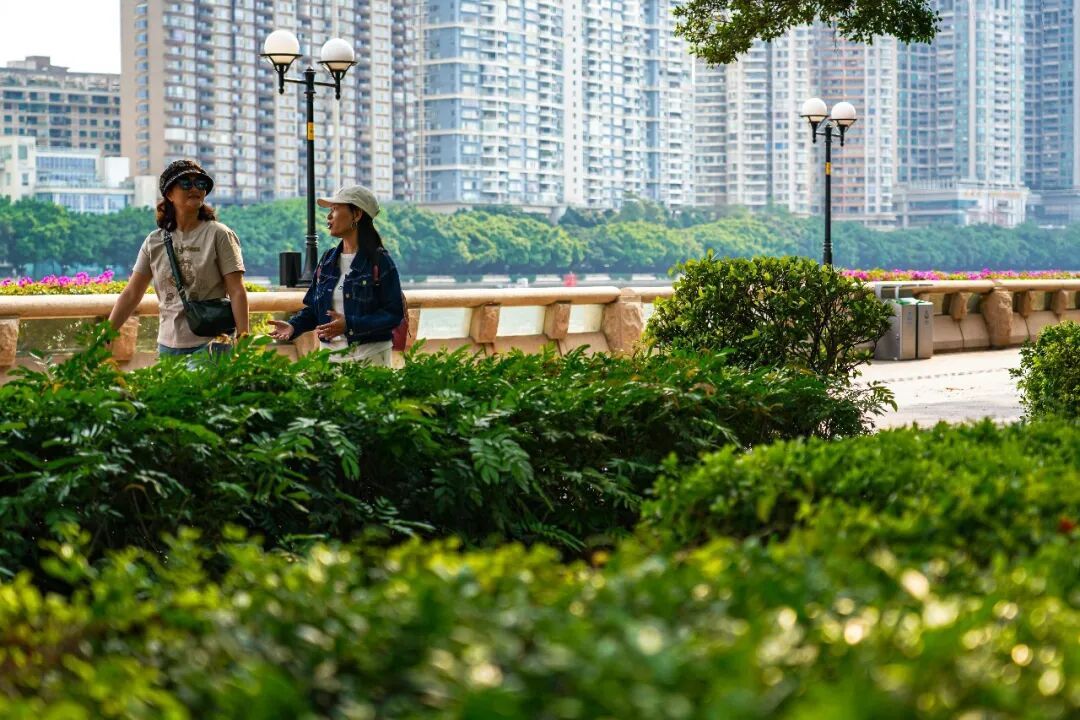今起三天,广州仍有暴雨!周末将升温至34℃ 今起三天,广州仍有暴雨!周末将升温至34℃