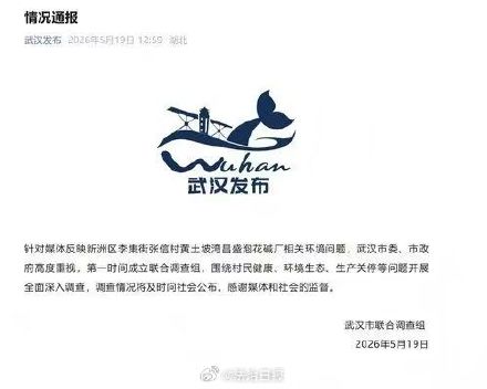 武汉通报昌盛泡花碱厂相关环境问题