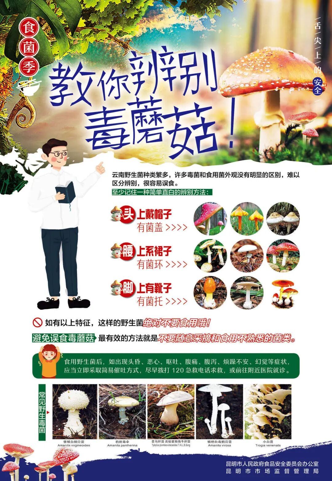 昆明市发布2026年野生菌中毒风险预警提示 昆明市发布2026年野生菌中毒风险预警提示