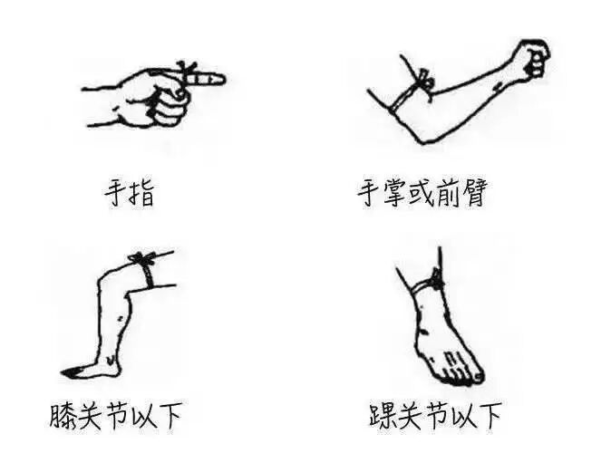 警惕！这种“不速之客”进入全年最活跃期