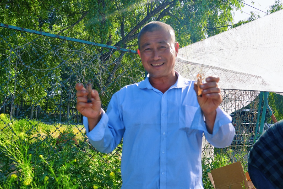 每斤卖到100元!青岛人爱吃的这种美味,中秋节前就能上市→ 每斤卖到100元!青岛人爱吃的这种美味,中秋节前就能上市→