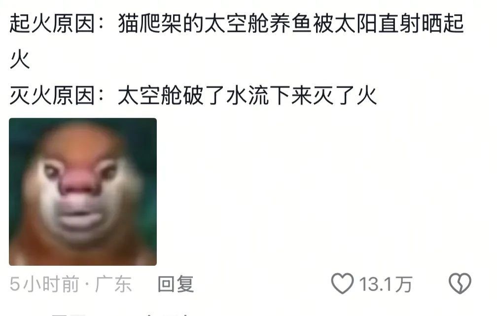 一男子家中莫名起火又自行熄灭？源头竟在猫爬架上...