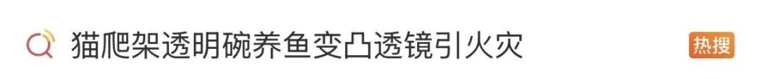 一男子家中莫名起火又自行熄灭？源头竟在猫爬架上...