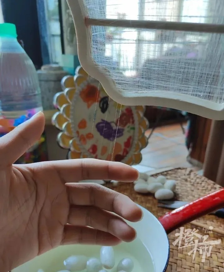儿子想做床蚕丝被,一家三口网购了1.2万只蚕宝宝!妈妈崩溃:“养蚕养到想报警”…… 儿子想做床蚕丝被,一家三口网购了1.2万只蚕宝宝!妈妈崩溃:“养蚕养到想报警”……