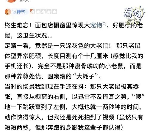 上海网红面包店惊现大老鼠!已被约谈!继续停业一周处理鼠患 上海网红面包店惊现大老鼠!已被约谈!继续停业一周处理鼠患