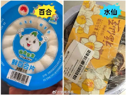 盒马误送水仙致顾客中毒 被罚198元