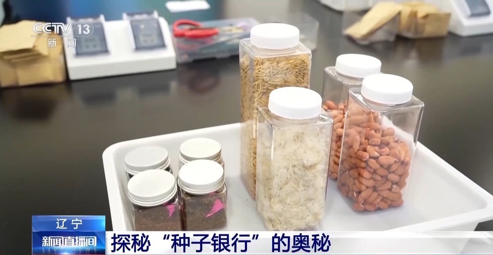 探秘东北最大“种子银行” 存50万份够用50年