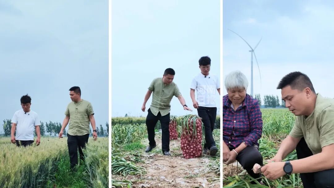 河南1.4万余斤蒜薹在重庆卖光,背后故事看哭全网 河南1.4万余斤蒜薹在重庆卖光,背后故事看哭全网