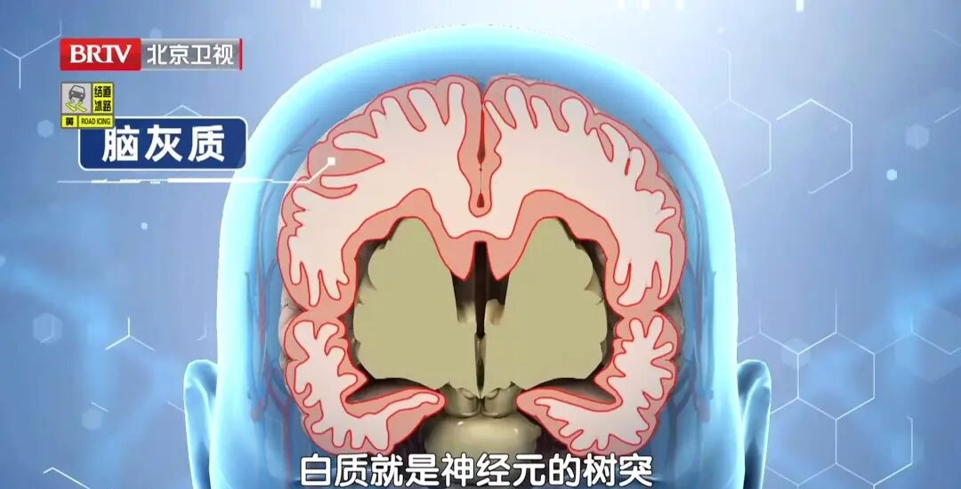 脑科专家都在练的“手指操”，每天3分钟，手脚更灵活，痴呆不来找