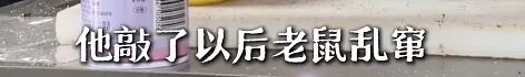 上海网红面包店惊现大老鼠!已被约谈!继续停业一周处理鼠患 上海网红面包店惊现大老鼠!已被约谈!继续停业一周处理鼠患