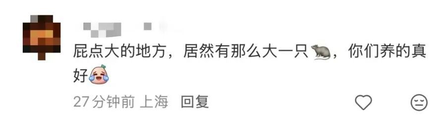 上海网红面包店惊现大老鼠!已被约谈!继续停业一周处理鼠患 上海网红面包店惊现大老鼠!已被约谈!继续停业一周处理鼠患