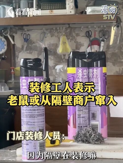 上海网红面包店惊现大老鼠!已被约谈!继续停业一周处理鼠患 上海网红面包店惊现大老鼠!已被约谈!继续停业一周处理鼠患