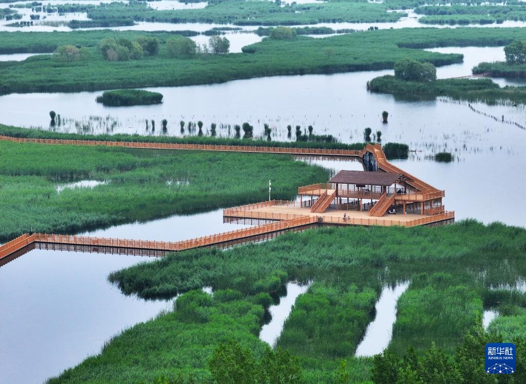 美丽中国丨白洋淀初夏风光