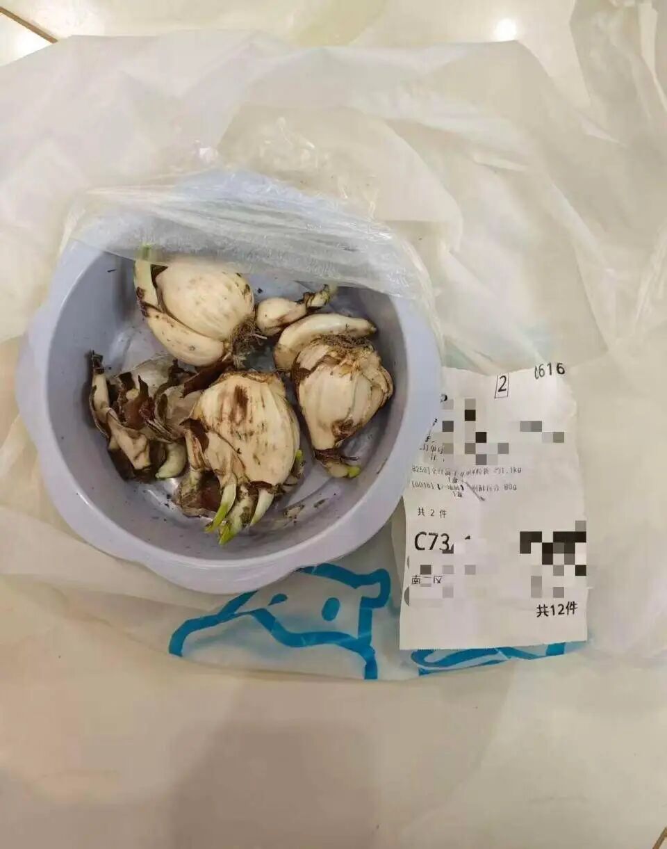 误送水仙致顾客中毒，盒马被罚！消费者：盒马告我敲诈，需要有诚意的道歉，将诉讼