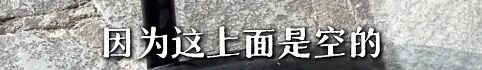 上海网红面包店惊现大老鼠!已被约谈!继续停业一周处理鼠患 上海网红面包店惊现大老鼠!已被约谈!继续停业一周处理鼠患