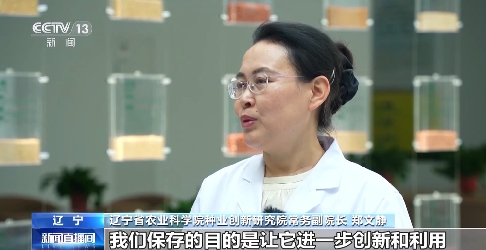 探秘东北最大“种子银行” 存50万份够用50年
