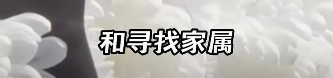 24岁女子遗体放闵行区殡仪馆，18年无人处理！官方最新回应️