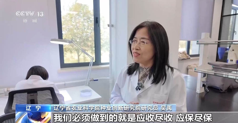 探秘东北最大“种子银行” 存50万份够用50年
