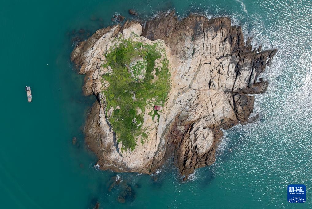 海岛“守鸟人”