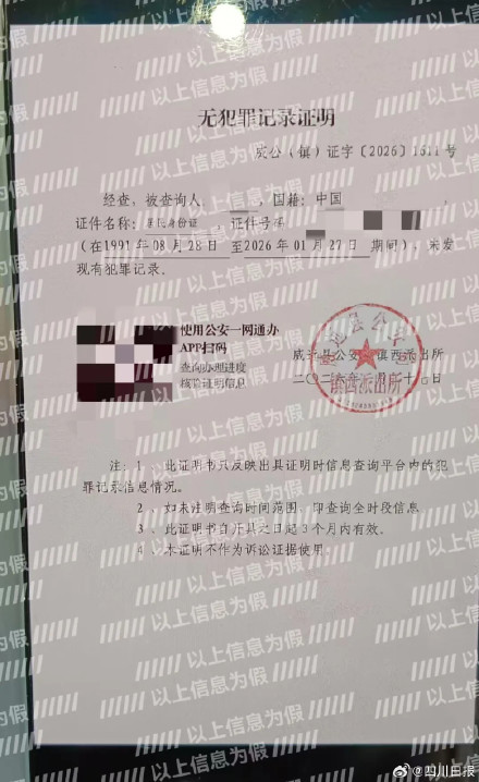 自贡一男子用AI伪造无犯罪记录证明被拘 自贡一男子用AI伪造无犯罪记录证明被拘