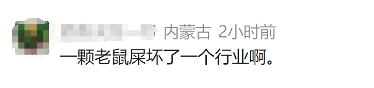 540公斤“泡药杨梅”全部销毁!此前销往江浙沪!上海商户发声 540公斤“泡药杨梅”全部销毁!此前销往江浙沪!上海商户发声