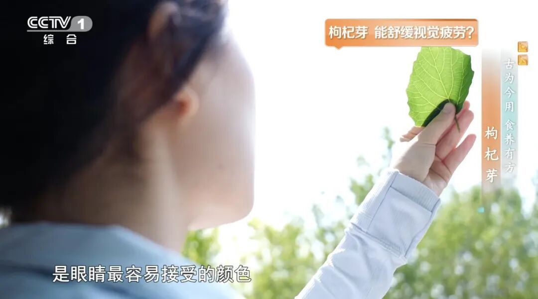 钙含量超牛奶!常吃这种蔬菜帮你抗炎、保护心血管、改善睡眠,错过再等一年 钙含量超牛奶!常吃这种蔬菜帮你抗炎、保护心血管、改善睡眠,错过再等一年
