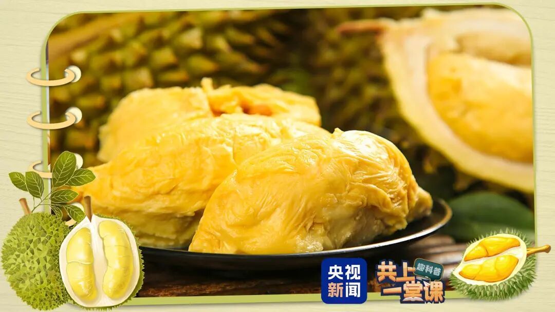 价格大跳水?这种水果登上热搜! 价格大跳水?这种水果登上热搜!