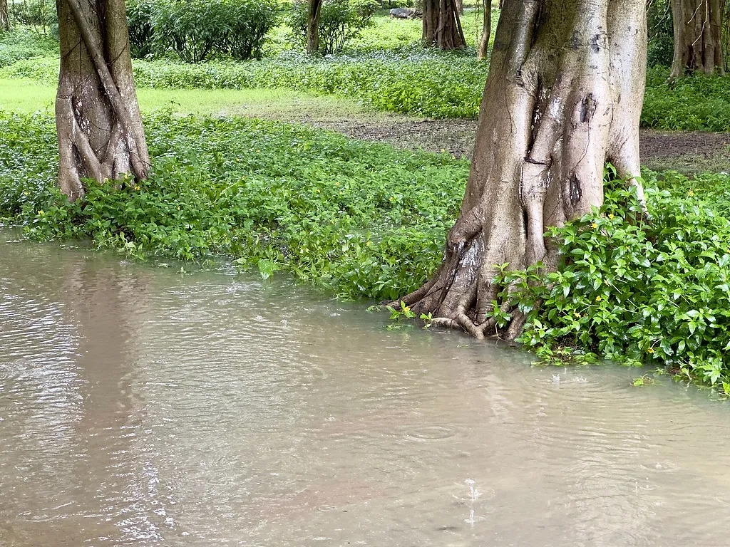 暴雨、大暴雨来了!一地宣布停课 暴雨、大暴雨来了!一地宣布停课