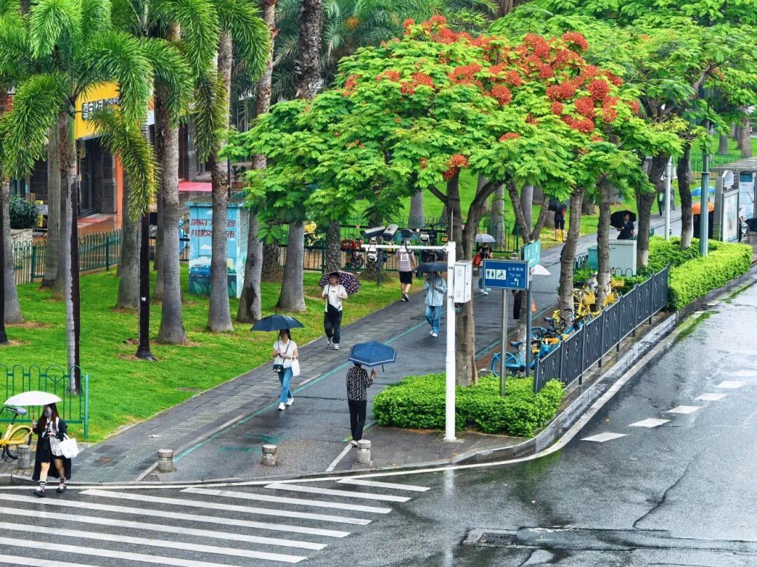最强降水即将抵达!厦门气象预警!雷电、雷雨大风、短时强降水…… 最强降水即将抵达!厦门气象预警!雷电、雷雨大风、短时强降水……