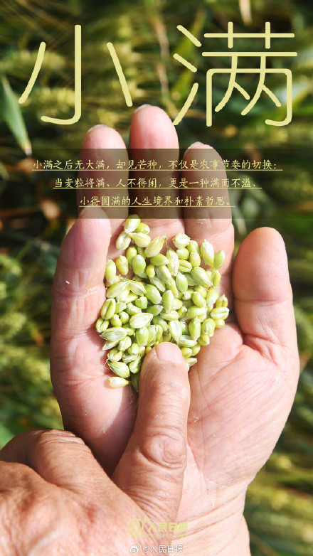 今日，小满遇上521