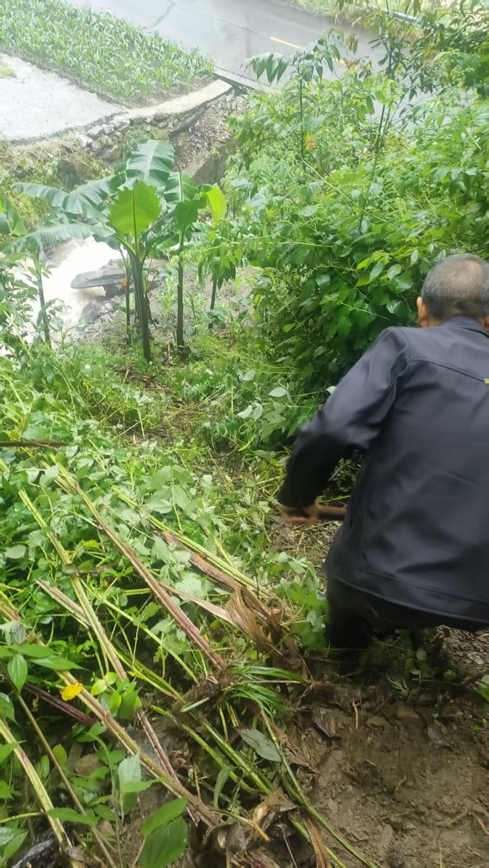 记者跟随石门壶瓶山镇干部徒步十多公里挺进“失联”村：信号到不了的地方，脚走到了