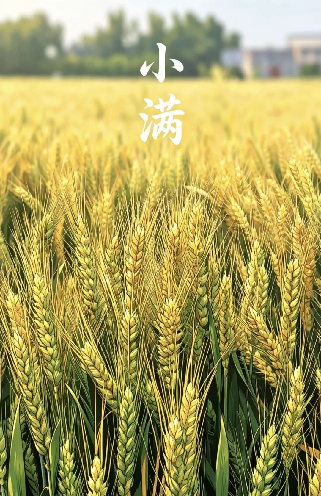 为何只有“小满”没有“大满”? 为何只有“小满”没有“大满”?