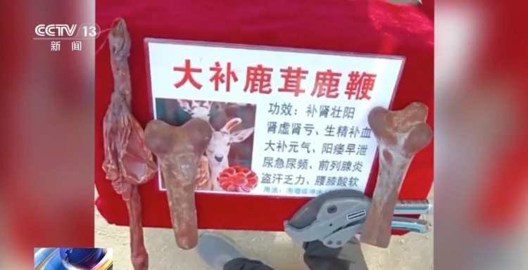 谐音设局+强买强卖 售卖假鹿茸犯罪团伙28人全部获刑 谐音设局+强买强卖 售卖假鹿茸犯罪团伙28人全部获刑