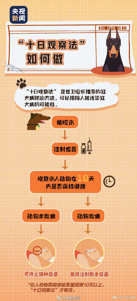 转发提醒！被狗咬伤该怎么办？抓住黄金15分钟清洗伤口！