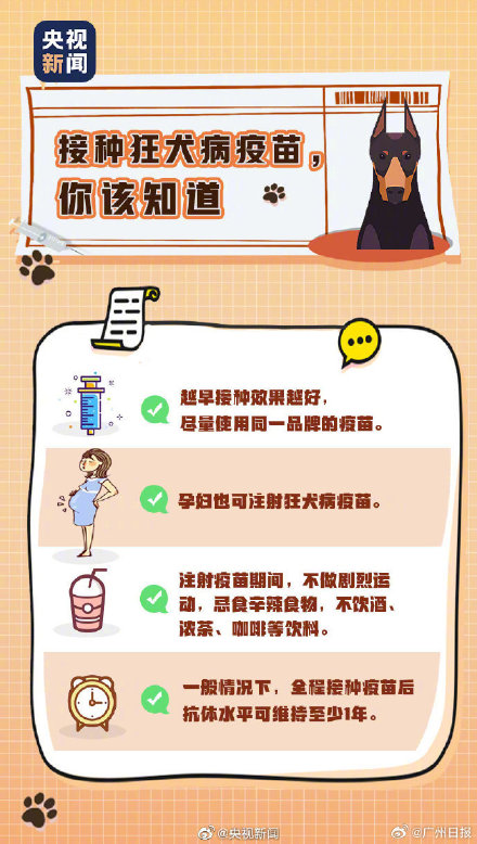 转发提醒！被狗咬伤该怎么办？抓住黄金15分钟清洗伤口！